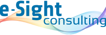 Logo E-Sight Consulting